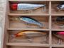 01ﾔﾏﾊﾐﾚﾆｱﾑｾﾚｸｼｮﾝ