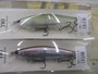 【ｾｯﾄ商品】REVONIK『SHINDY』4本ｾｯﾄ