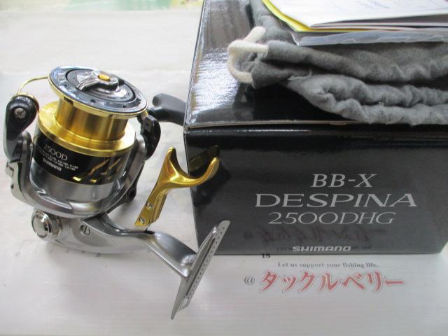 16BB-Xﾃﾞｽﾋﾟﾅ 2500DHG