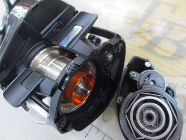 26ｽﾃｨｰｽﾞ SV ﾗｲﾄ TW 100H