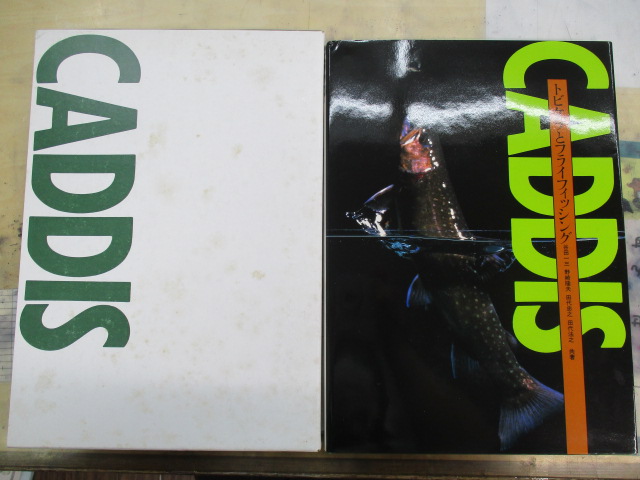 CADDIS ﾄﾋﾞｹﾗとﾌﾗｲﾌｨｯｼﾝｸﾞ