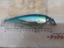 ﾖﾙﾏﾙｼｬｯﾄﾞ17cm
