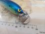 ﾖﾙﾏﾙｼｬｯﾄﾞ17cm