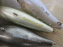 【ｾｯﾄ商品】激安!!ｸﾗﾝｸ10個ｾｯﾄ
