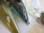 【ｾｯﾄ商品】激安!!ｸﾗﾝｸ10個ｾｯﾄ