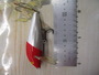 【ｾｯﾄ商品】中古ﾗﾊﾟﾗ　4個ｾｯﾄD