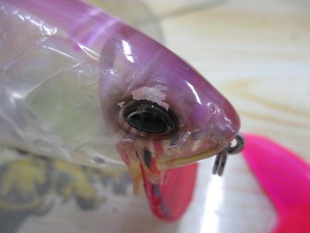 ﾀｲﾆｰｸﾗｯｼｭ
