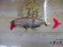 ﾀｲﾆｰｸﾗｯｼｭ