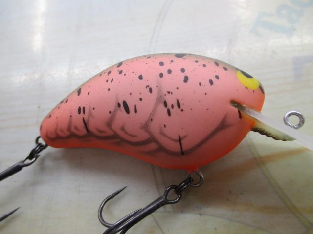ﾜｲﾙﾄﾞﾎﾞｱ