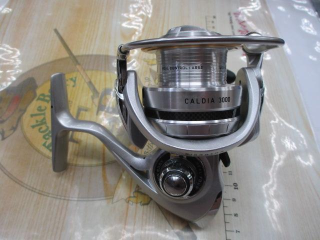 11ｶﾙﾃﾞｨｱ 3000