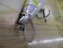 ｳｯﾄﾞ85-14g#AU