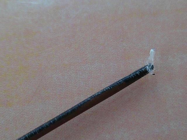 孤舟鶺鴒志100寸