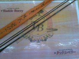 孤舟鶺鴒志100寸