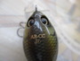 AR-CC Jr