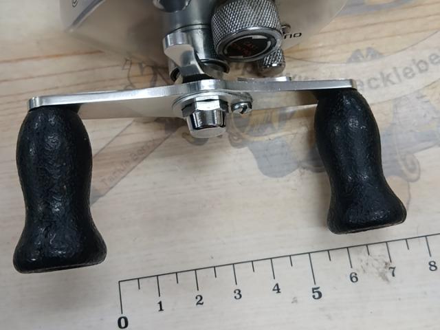 ﾊﾞﾝﾀﾑ 201SG