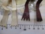 【ｾｯﾄ商品】ｵｰﾙﾄﾞﾌﾛｯｸﾞｾｯﾄ