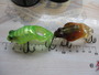 【ｾｯﾄ商品】【ﾒｶﾞﾊﾞｽ】ﾀｲﾌﾟX箱入×2個ｾｯﾄ