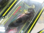 【ｾｯﾄ商品】【ﾒｶﾞﾊﾞｽ】ｻｲｸﾛﾝSR-X箱入×3個