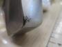 ｿﾙﾃｨｶﾞZ 4500