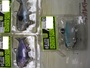 【ｾｯﾄ商品】中古(ｵｻｶﾅｽｲﾏｰ125)3個ｾｯﾄ