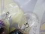 【ｾｯﾄ商品】ﾒｶﾞﾊﾞｽ 超人気ﾙｱｰ 4個ｾｯﾄ