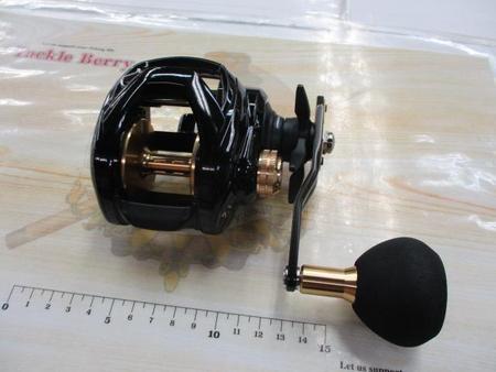 Daiwa SEAHawk TW ENTO 両軸リール ダイワ 両軸リール シーホーク TW 遠投: リール｜釣具の通販なら