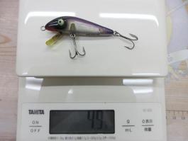 ﾍﾄﾞﾝﾀｲｶﾞｰ