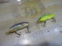 【ｾｯﾄ商品】ｳｯﾃﾞｨﾍﾞﾙ　ｼｬﾛｰﾗﾋﾞｯﾄｾｯﾄ