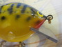 ﾊﾞﾙｻ50　西岡ｻｲﾝ