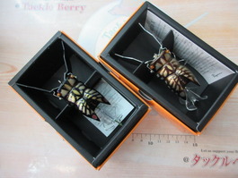 【ｾｯﾄ商品】ﾒｶﾞﾊﾞｽ　ｶﾞｯﾀX2個ｾｯﾄ