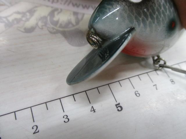 ﾋﾞｯｸﾞﾍｯﾄﾞ
