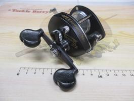 ﾊﾞﾝﾀﾑ 10SG