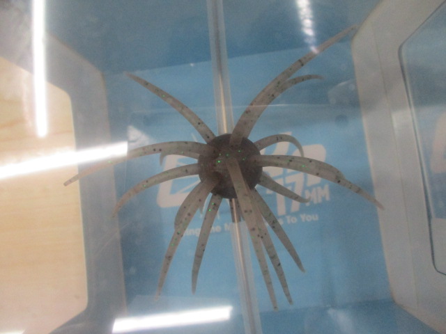 【セット商品】ハイドアップ コイケ17mmソフト2個セット