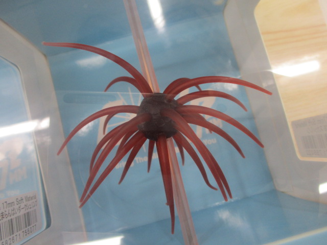 【セット商品】ハイドアップ コイケ17mmソフト2個セット