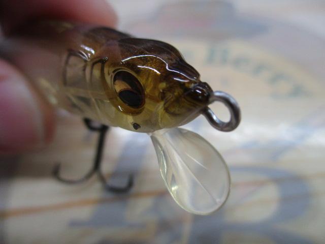 FX9白蝶貝ARワカサギ