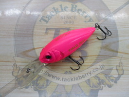 2009Deep-X300　prototype