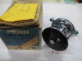 ﾛﾝｸﾞﾋﾞｰﾁNO.66