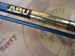 ｷｬｽﾀｰ122ｽﾞｰﾑ