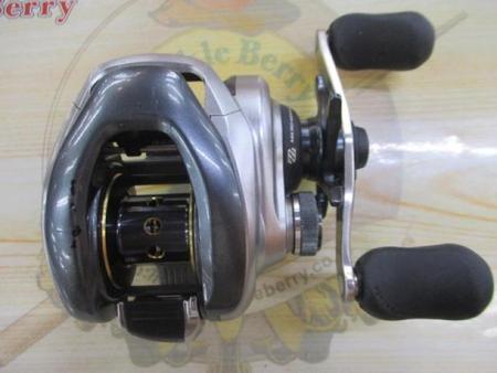 13ﾒﾀﾆｳﾑ (RH)