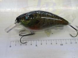 ｸﾗﾝｸﾍﾞｲﾄ