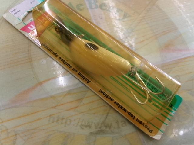 ﾏｸﾞﾅﾑﾀﾄﾞﾎﾟﾘｰ