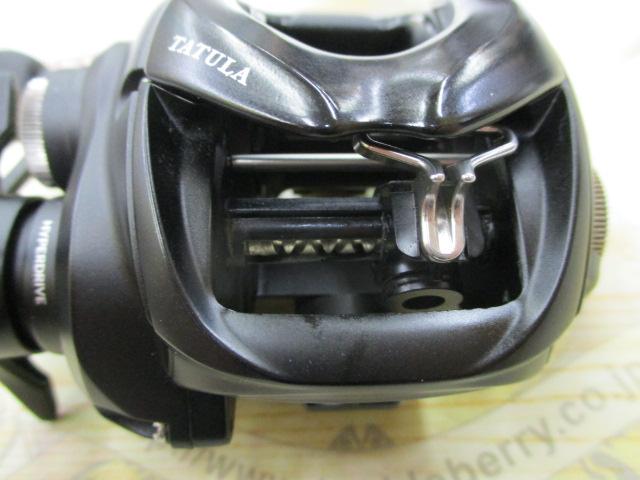 24ﾀﾄｩｰﾗ TW 100H