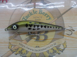 ﾍﾄﾞﾝ　ﾋﾞｯｸﾞﾀｲｶﾞｰ