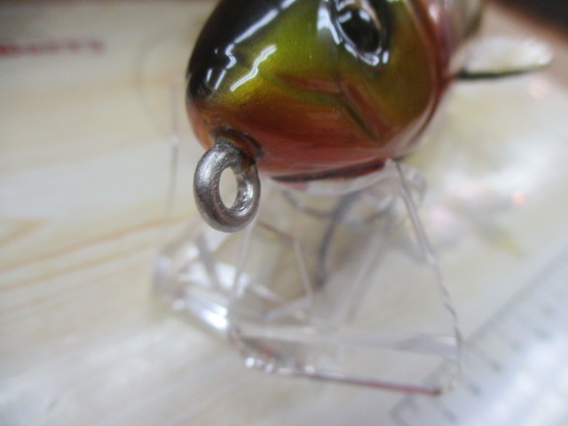 ﾊｽｷｰﾊｳｼﾞｰ