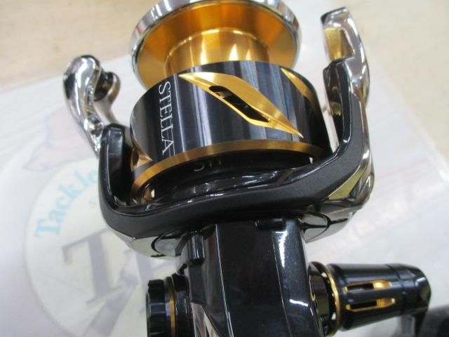 20ｽﾃﾗSW 6000XG