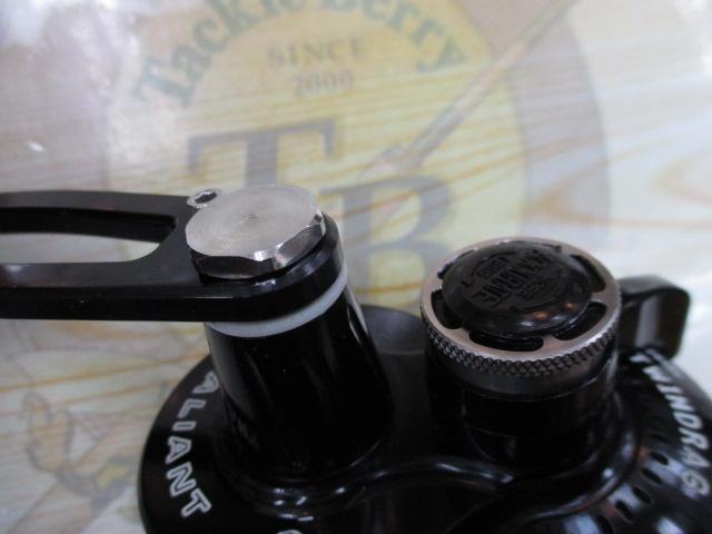 ﾎﾞｽｳﾞｧﾘｱﾝﾄ300