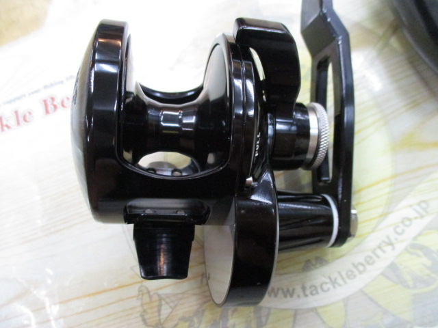 ﾎﾞｽｳﾞｧﾘｱﾝﾄ300