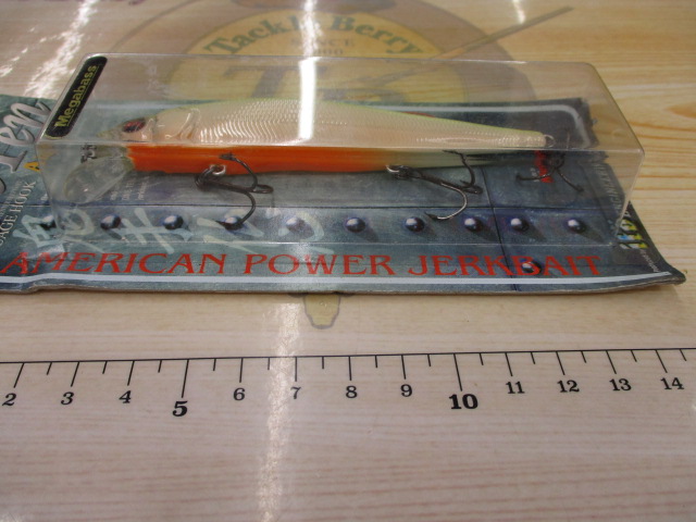 ｳﾞｨｼﾞｮﾝ ﾜﾝﾃﾝ ｱﾒﾘｶ