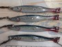 【ｾｯﾄ商品】ABU SHINER ｼｬｲﾅｰ 14個