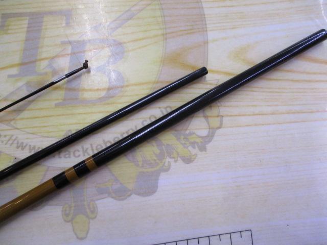 普天元 大我 11